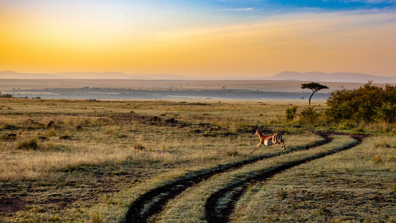 10-Day From Kenya to Tanzania - Mid-Range  - Tanzania safari gallery image
