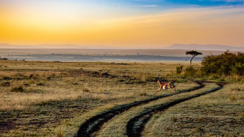 10-Day From Kenya to Tanzania - Mid-Range  - Tanzania safari gallery image
