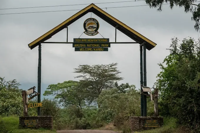 Ultimate 1-Day Arusha National Park Safari with Canoeing & Game Drive gallery image