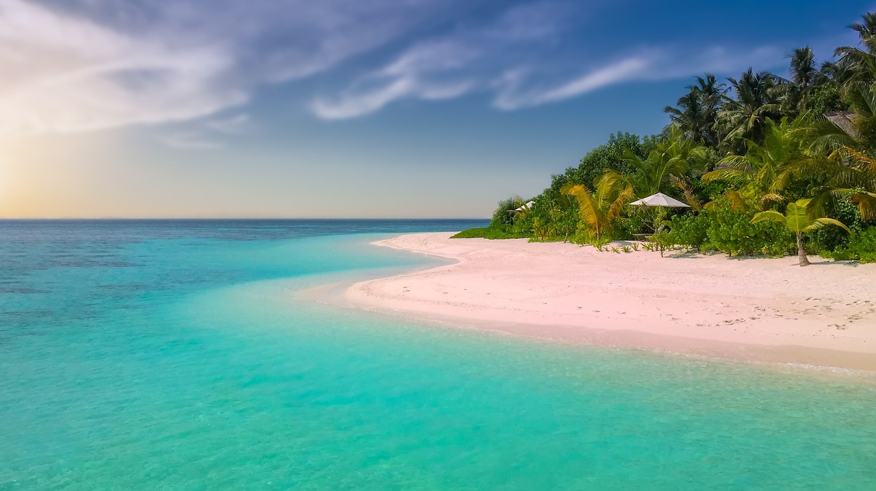 13-Day Kenya Safari and Zanzibar Holiday Tour - Tanzania safari gallery image