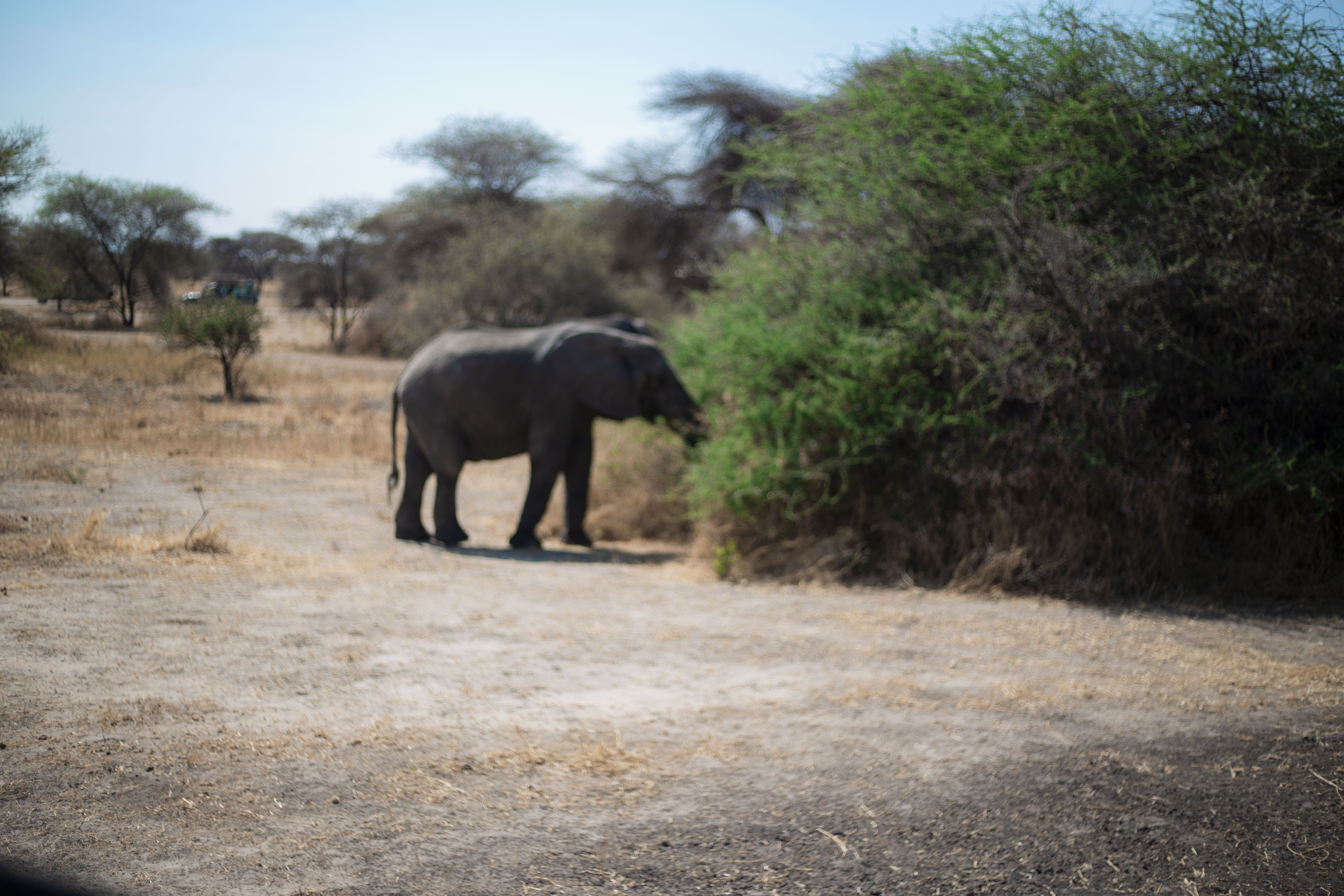 8-Day Kenya Adventure Safari - Kenya safaris gallery image