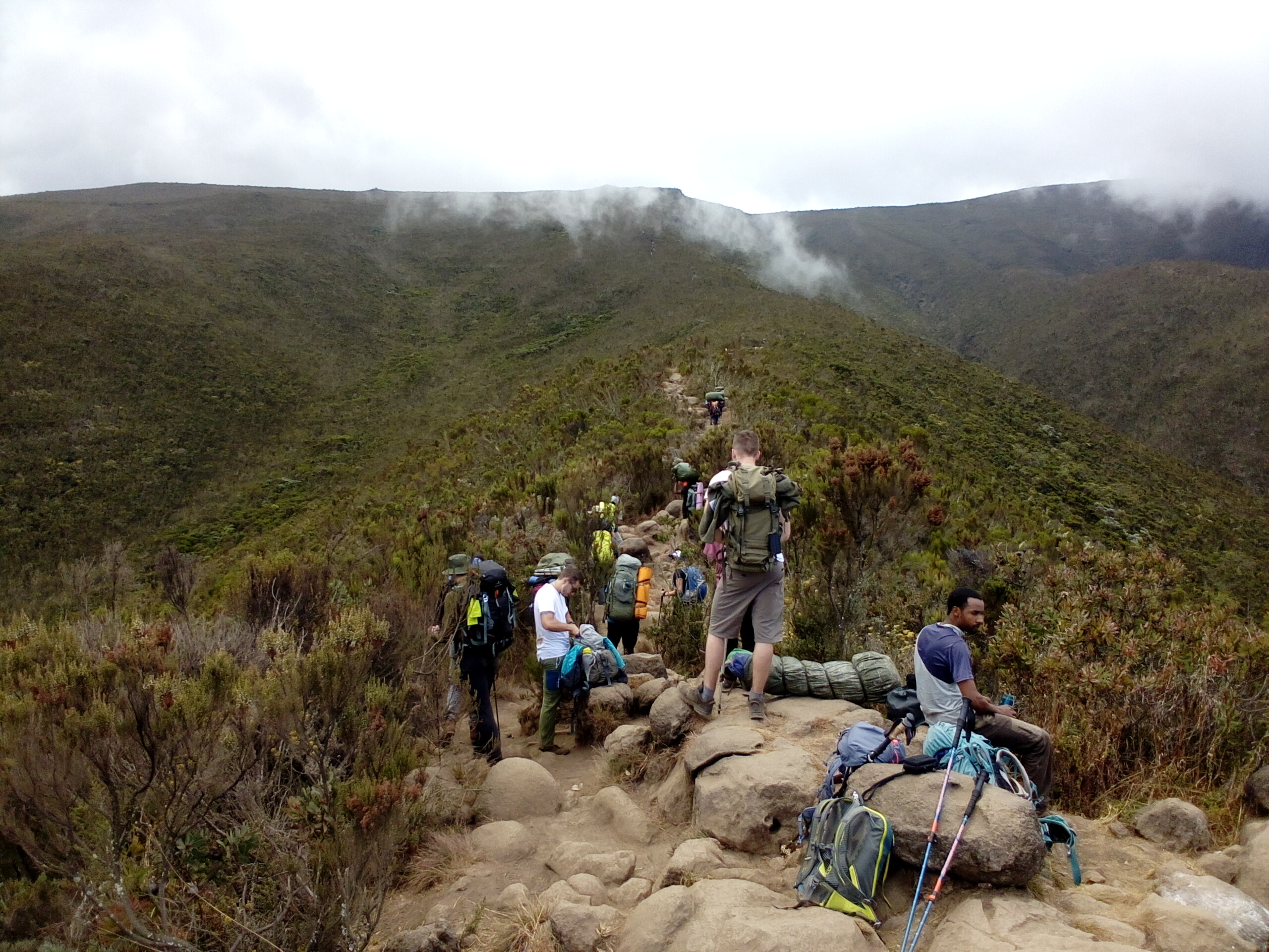 8-Day Lemosho to Crater Rim Kilimanjaro Tour gallery image