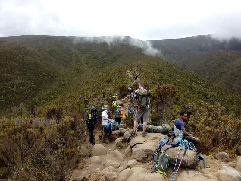 9-Day Mount Kilimanjaro Trekking - Lemosho Route Kilimanjaro