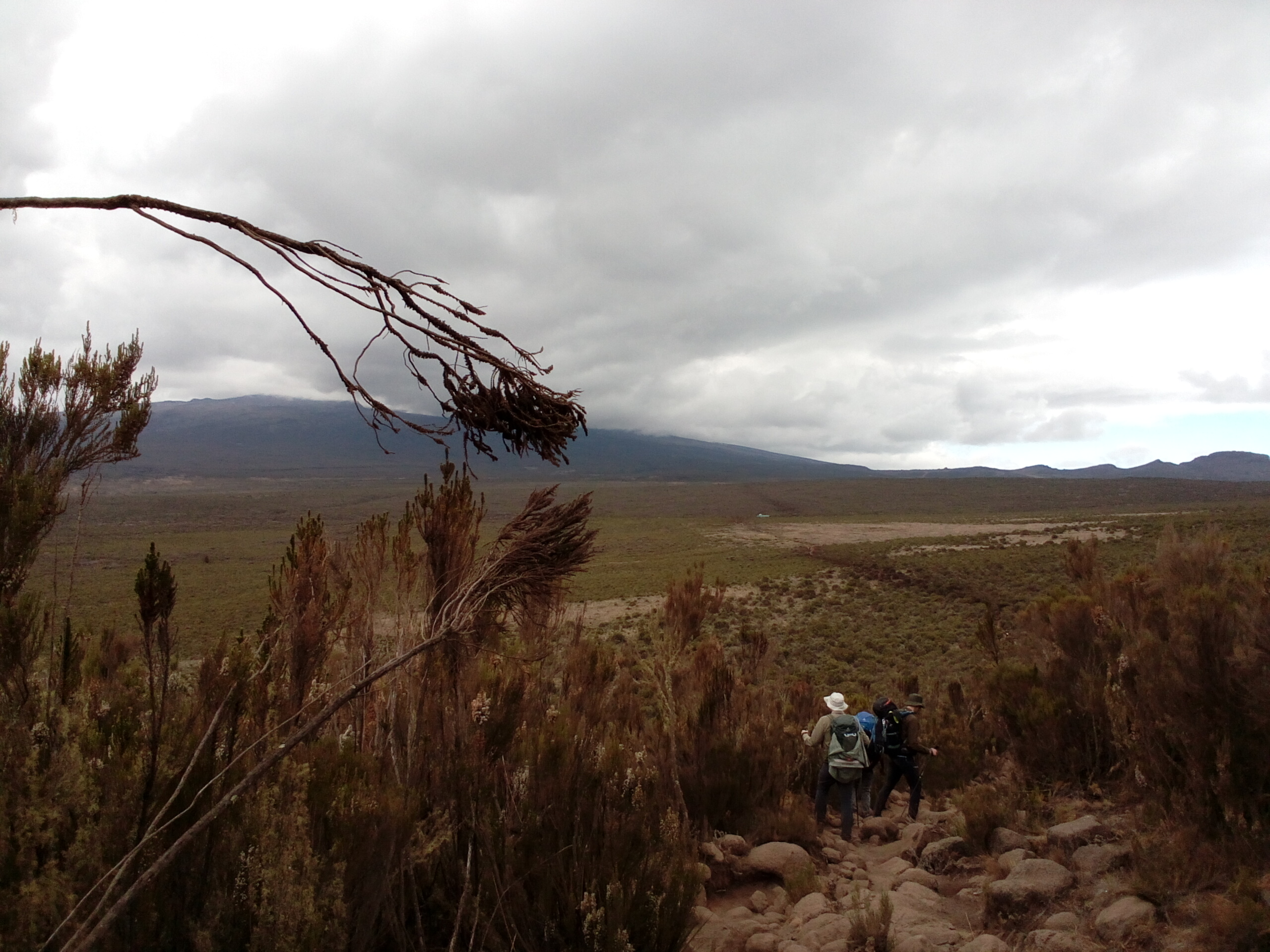 9-Day Mount Kilimanjaro Trekking - Lemosho Route Kilimanjaro gallery image