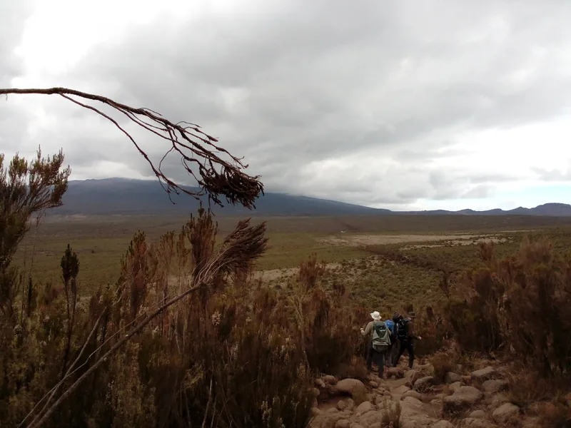9-Day Mount Kilimanjaro Trekking - Lemosho Route Kilimanjaro gallery image