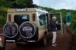 4-Day Kruger Park Safari and Panorama Route Tour hero photo