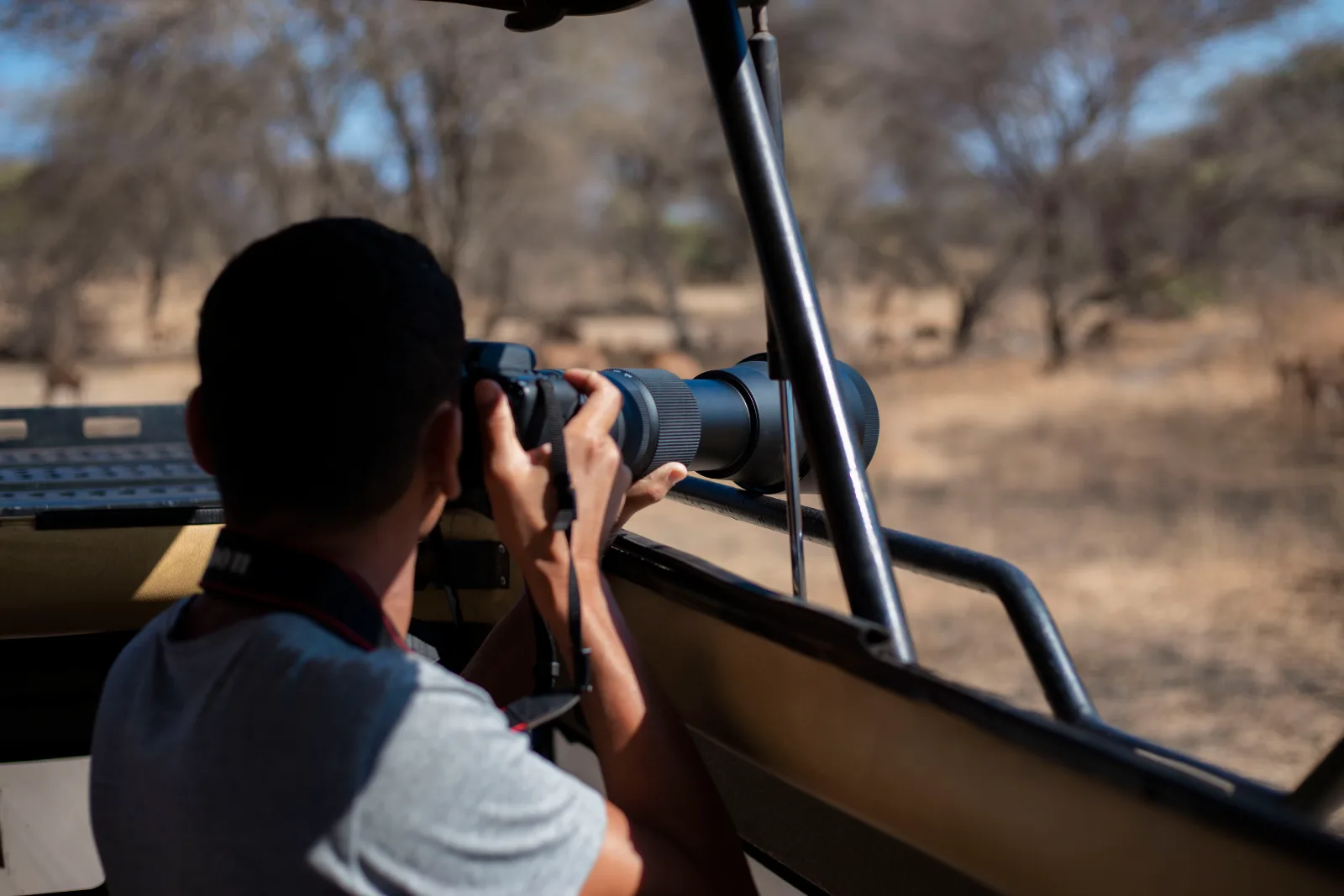 1-Day Explore Mikumi NP from Dar Es Salaam by Train - Tanzania safari gallery image