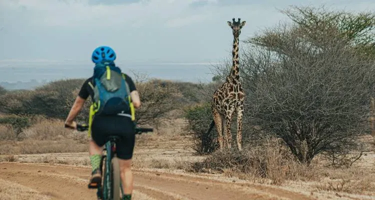 13-Day Unforgettable Tanzania Safari & Zanzibar Great Migration Journey gallery image