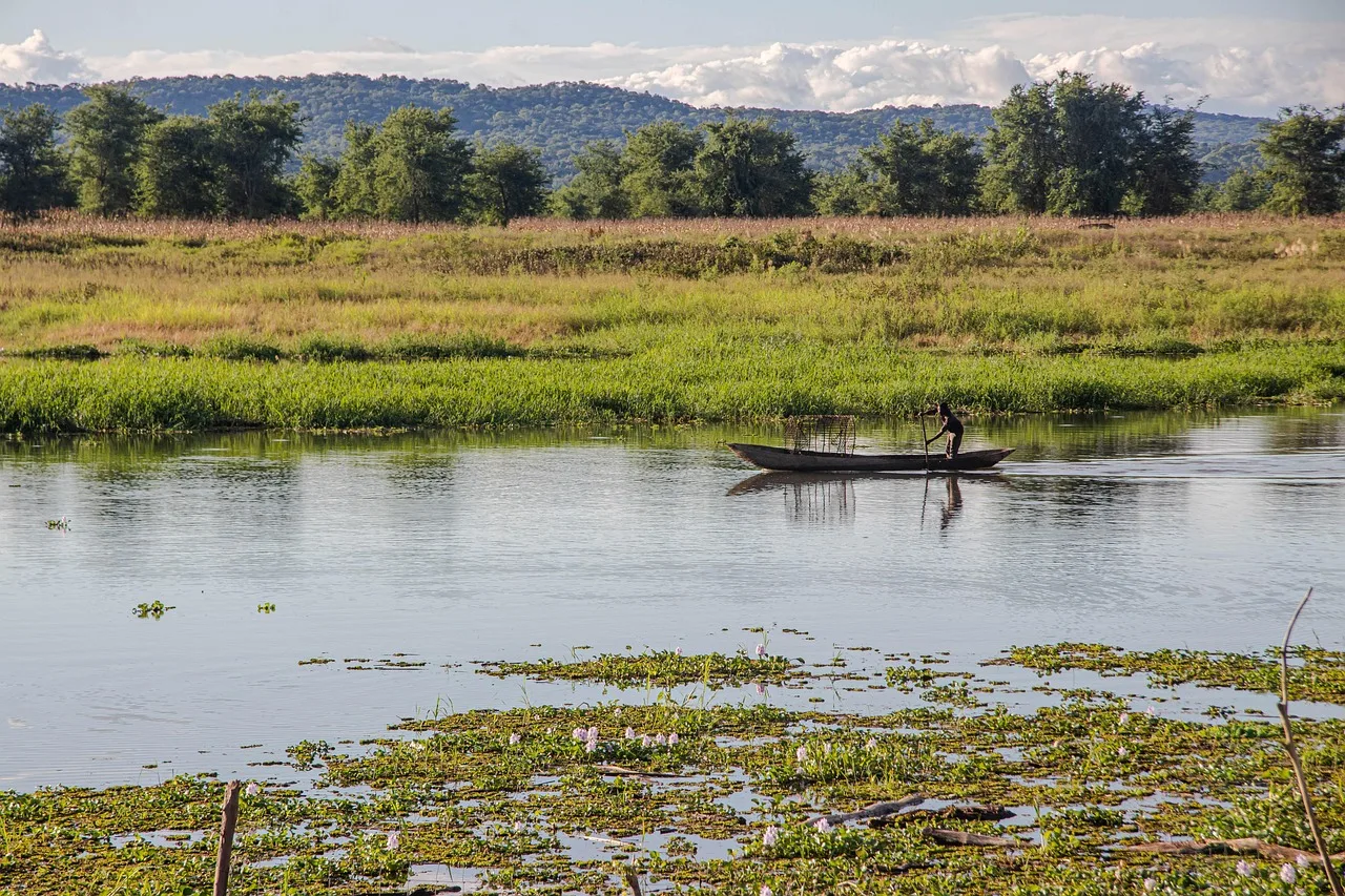 7-Day South Luangwa and Lower Zambezi Epic Safari gallery image