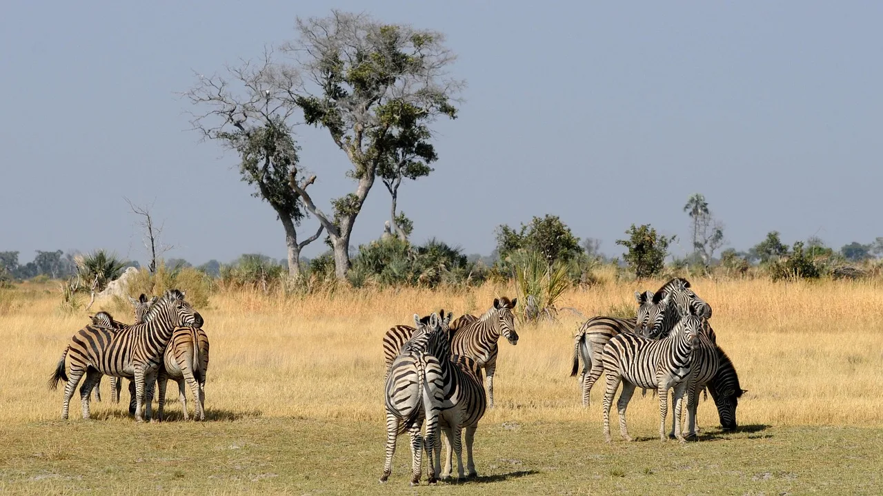 8 Days  Rivers & Reserves Safari Escape gallery image