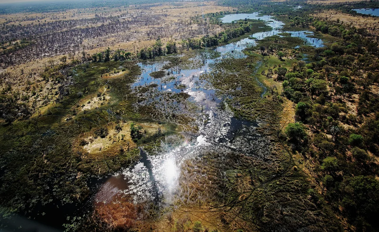 15-Day Namibia to Victoria Falls Elephant Track hero photo