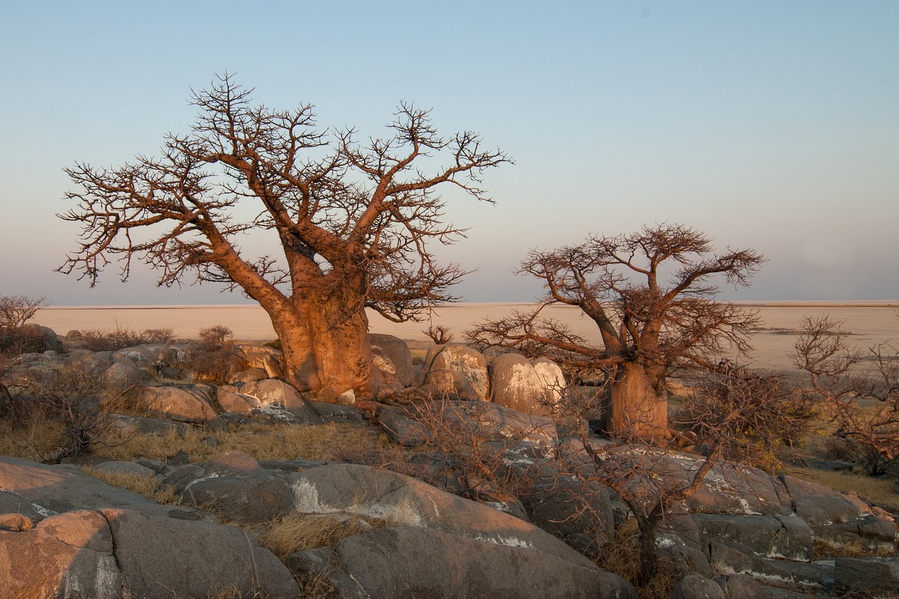 18-Day Namibia, Botswana and Vic Falls Safari