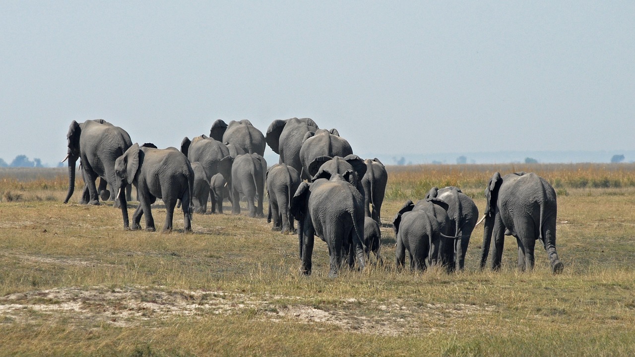 10 Days  Extraordinary Expedition gallery image