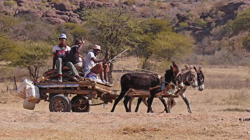 9-Day Ultimate Wildlife Adventure gallery image