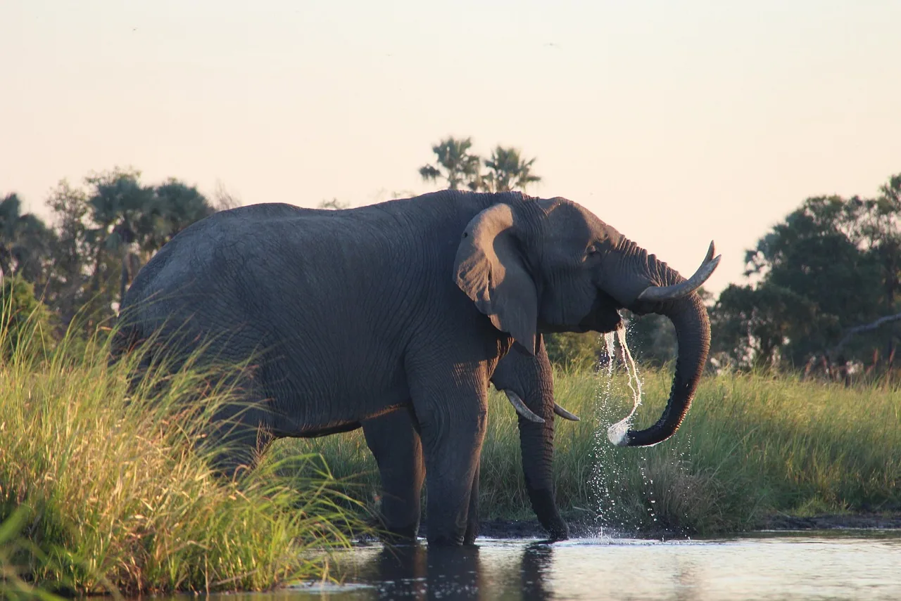 10 Days Wild, Water & Wonder in Botswana and Zimbabwe hero photo