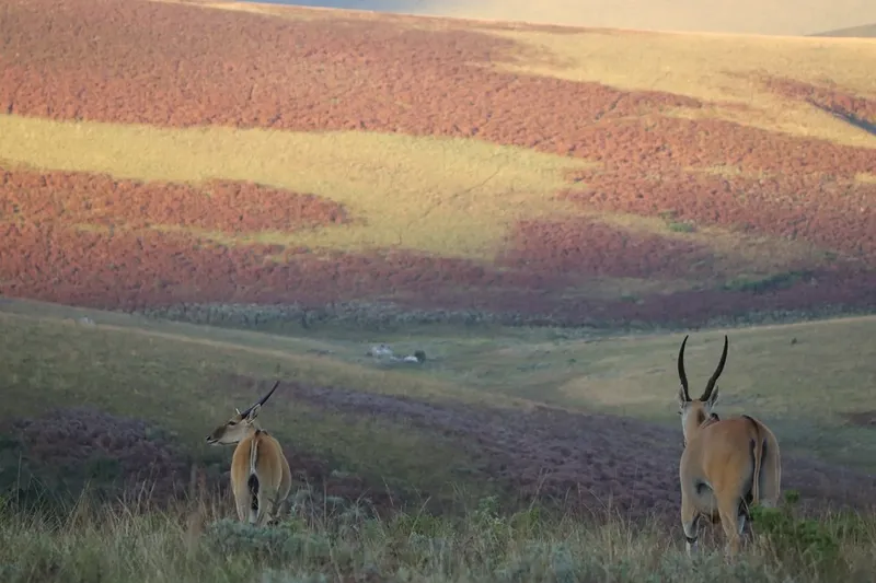 5-Day Tanzania Safari & Cultural Experience (Join-In Group Package) gallery image