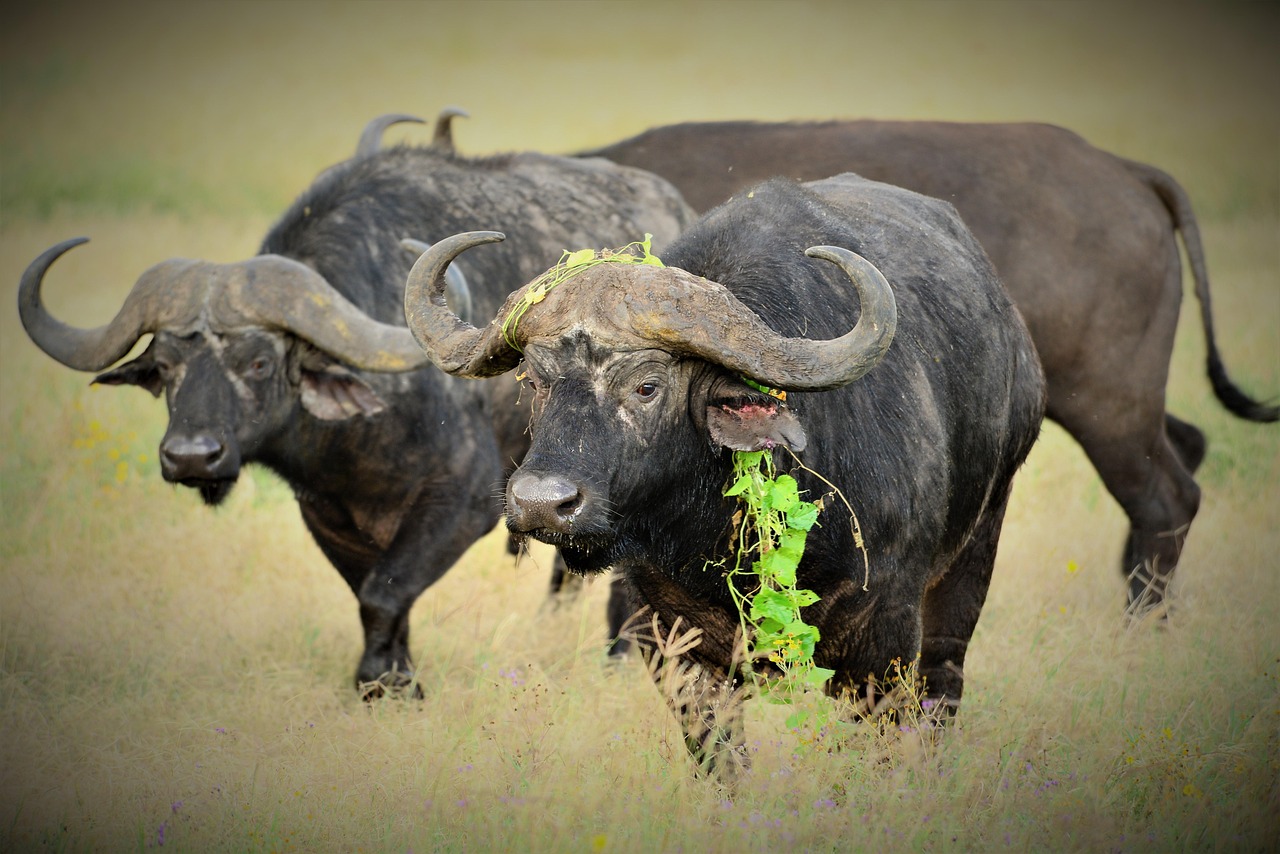 12-Day Namibia, Chobe & Victoria Falls