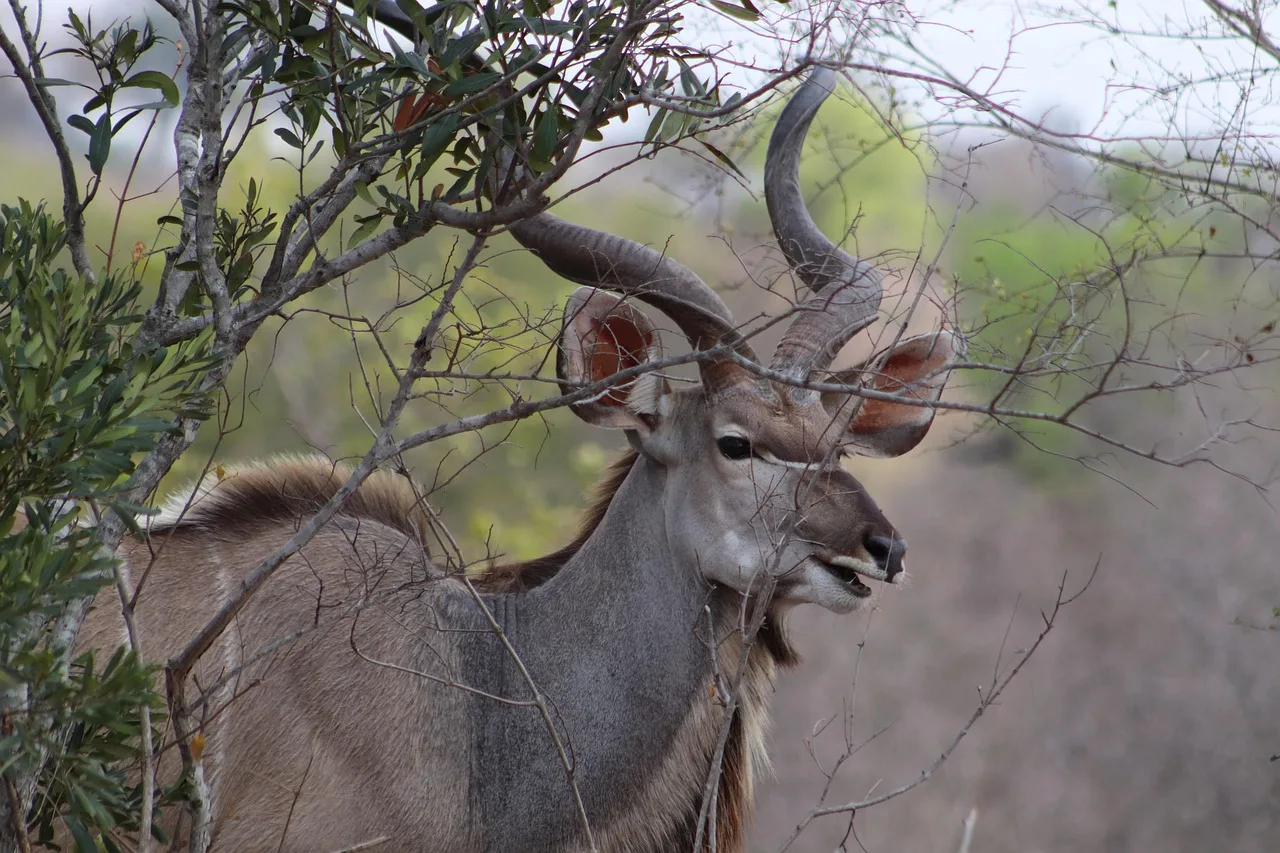 3-Day Explore Awash National Park gallery image