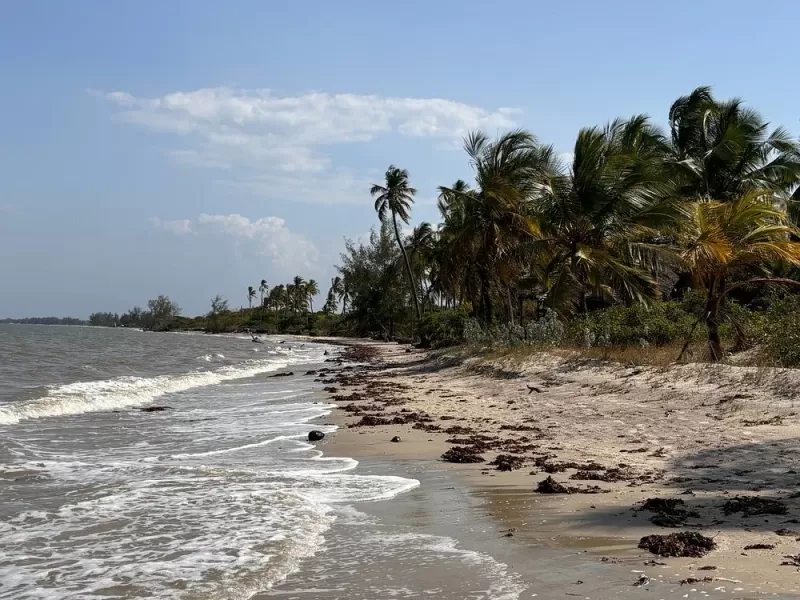 2 Days Super Trip Beach Safari in Saadani National Park gallery image