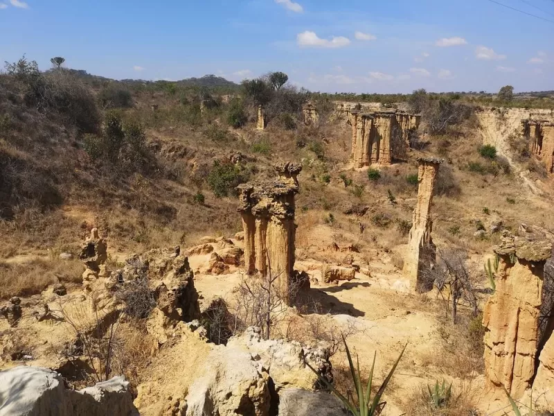 4 Days Awesome Ruaha National Park gallery image