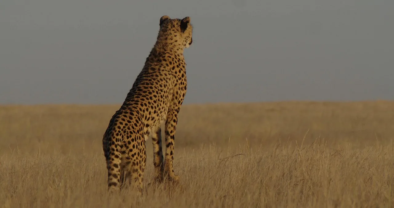 15-Days  Luxury Tour Starting in Cape Town gallery image