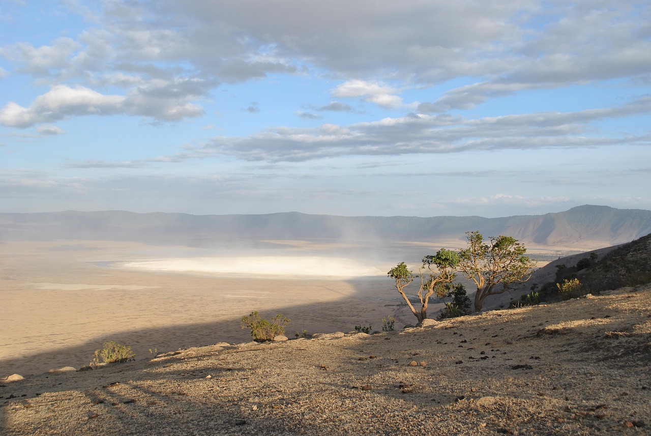 Delighted of 1-Day Ngorongoro Crater  Trip Tour