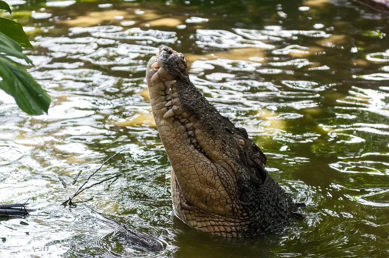 8-Day Kenya Safari & Beach Getaway - Kenya tours gallery image