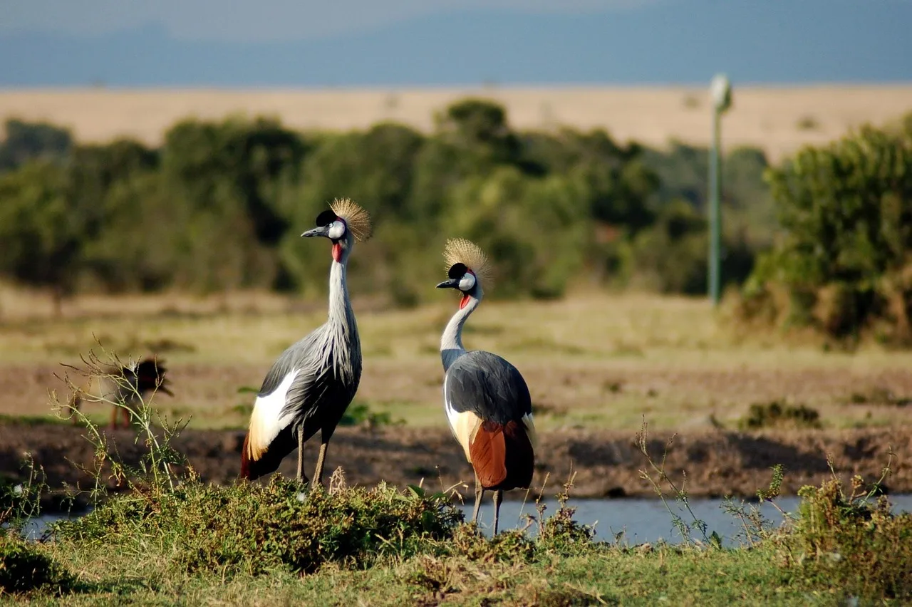 1-Day Nairobi City Tour - Kenya tours gallery image