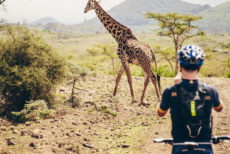 4-Day Thrilling West Kilimanjaro Cycling Adventure & Tanzania Wildlife Safari gallery image