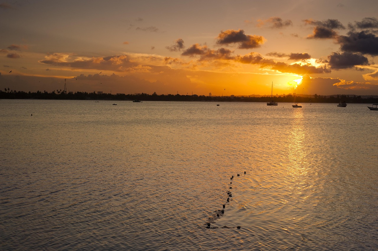 The best 1-Day Dar Es Salaam City Tour - Tanzania safari gallery image