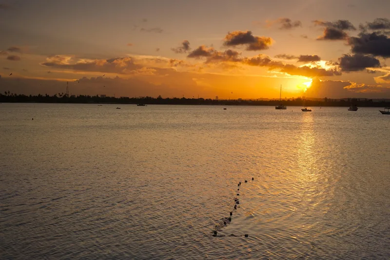 The best 1-Day Dar Es Salaam City Tour - Tanzania safari