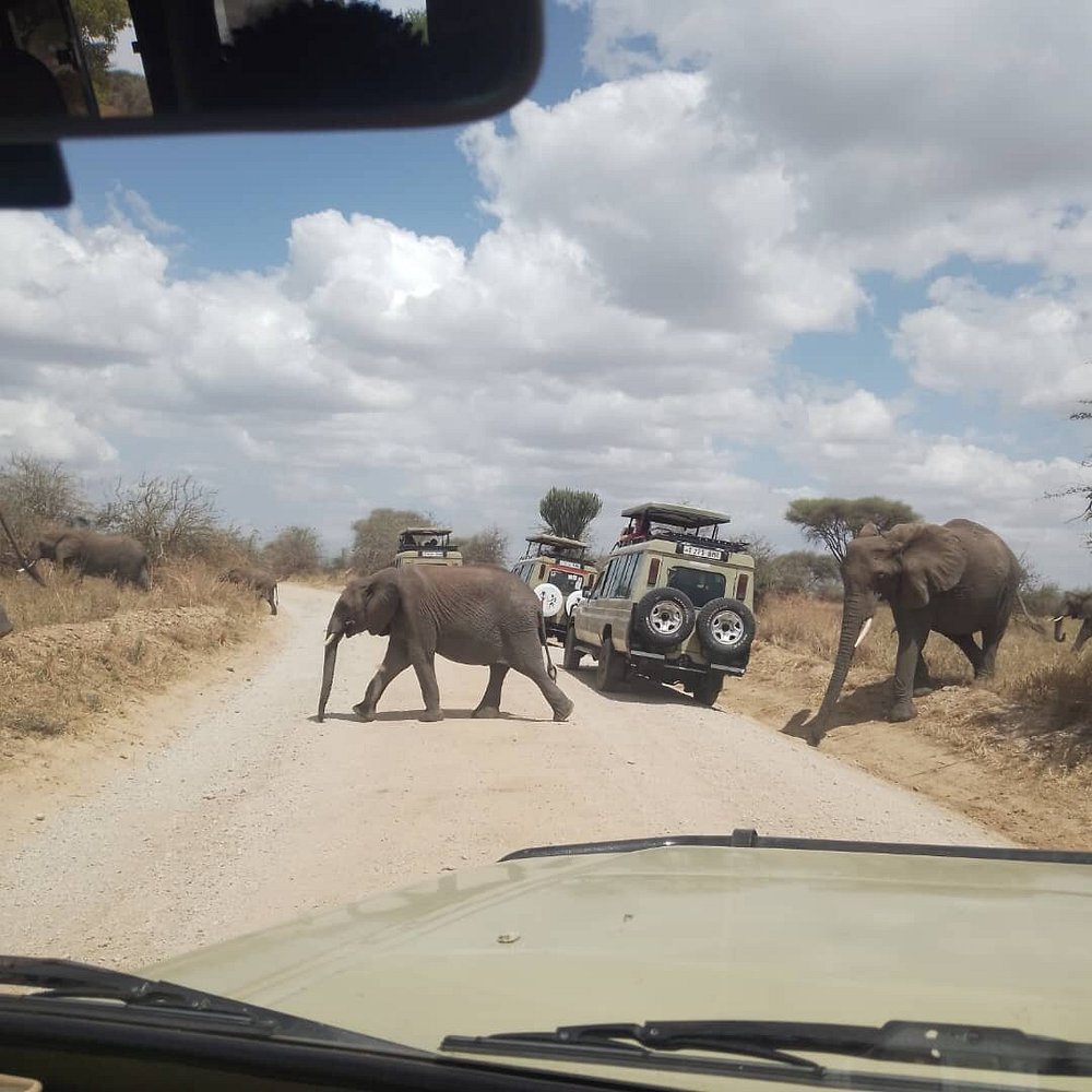1 Day Day Trip to Ruaha National Park Things to do gallery image