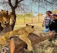 2-Day Fly-In Fly-Out Serval Wildlife Experience (From Zanzibar) Family Tour (4 - 8 People)