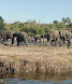2-Day Chobe and Victoria Falls Combo, from Zimbabwe Side gallery image
