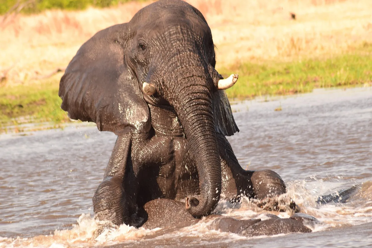 11 Days  Etosha, Caprivi, Chobe and Vic Falls Adventure hero photo