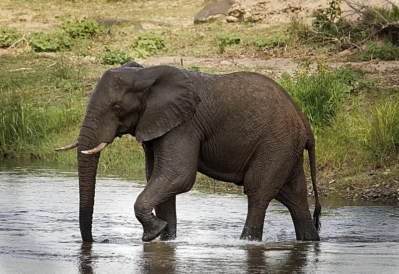 2-Day Safari to Tsavo East from Mombasa and Diani - Kenya safaris