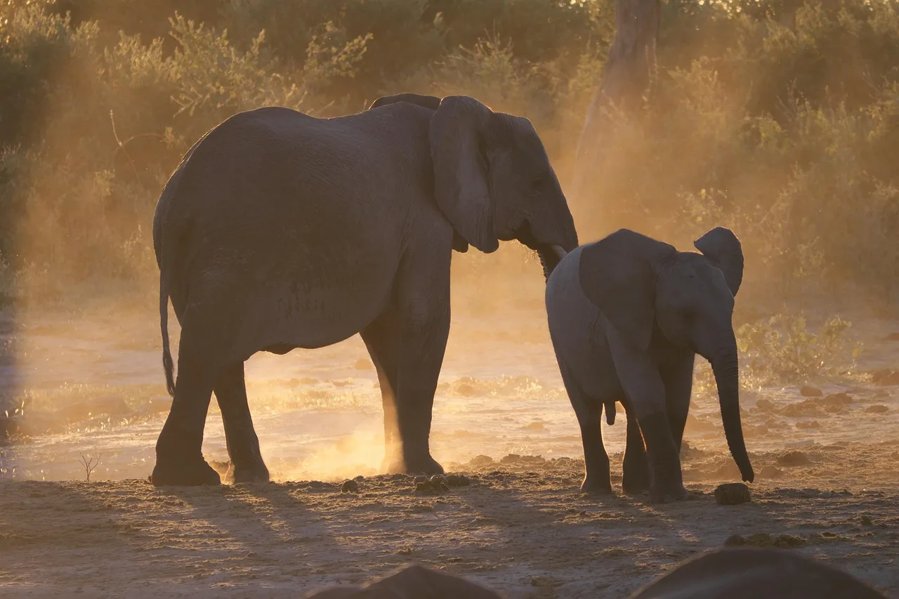 5-Day Visit Zimbabwe, Zambia, Botswana & Namibia Island