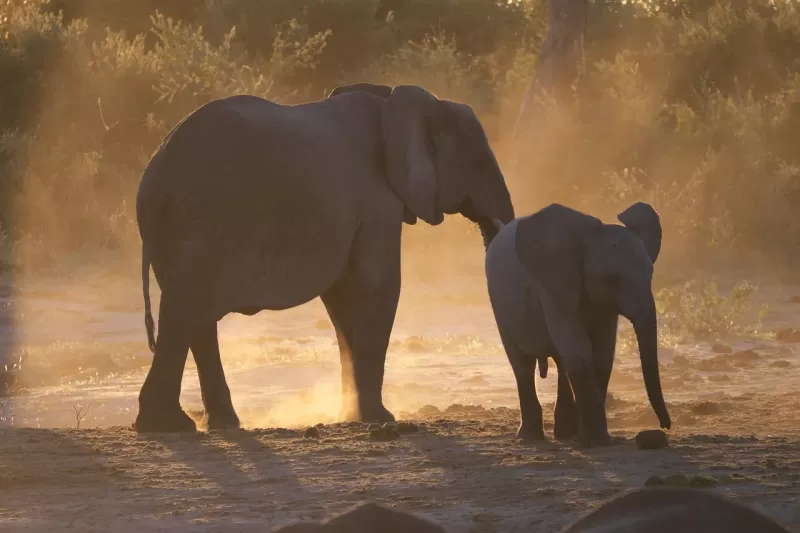 5-Day Visit Zimbabwe, Zambia, Botswana & Namibia Island