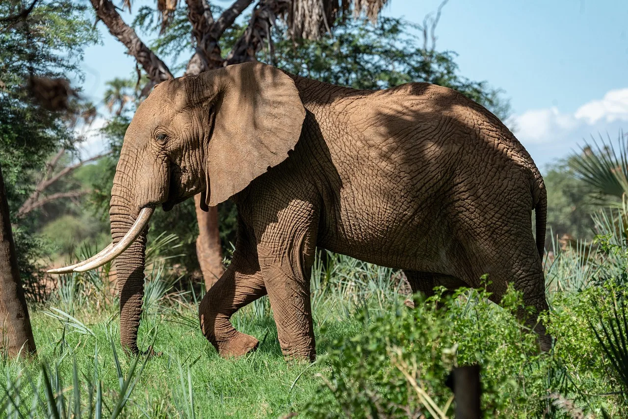 15-Days  Luxury Tour Starting in Cape Town gallery image