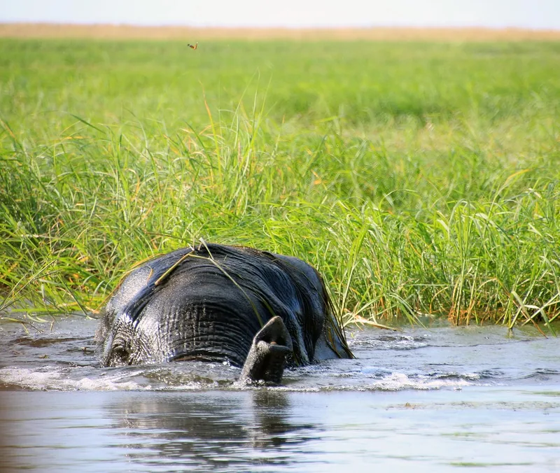 21-Day Namibia and Bostwana - Desert and Delta 2025-2030