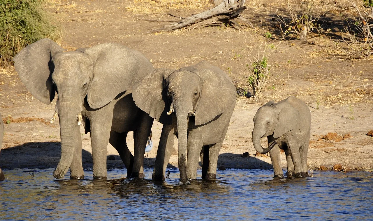 1-Day Nairobi City Tour - Kenya tours gallery image