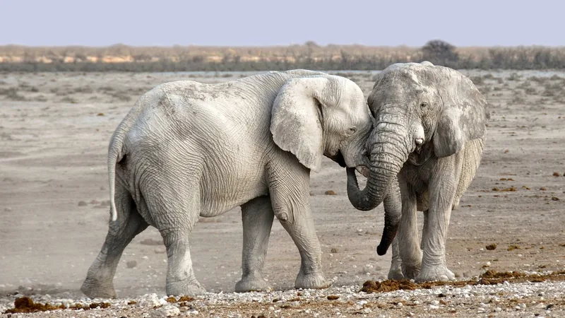 3-Day Tanzania Safari from Zanzibar(Offer) - Tanzania safari