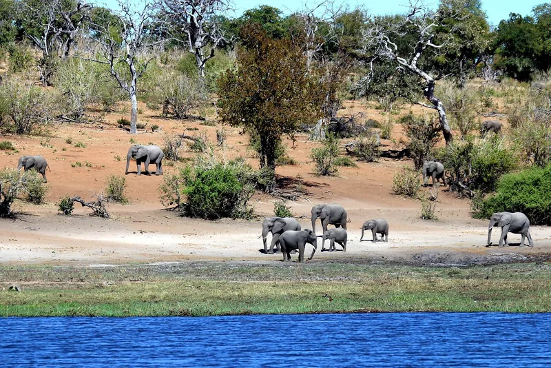 21-Day Namibia and Bostwana - Desert and Delta 2025-2030 gallery image