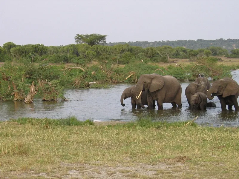 2-Day 1 Night Private Tour to Amboseli National Park - Kenya tours gallery image