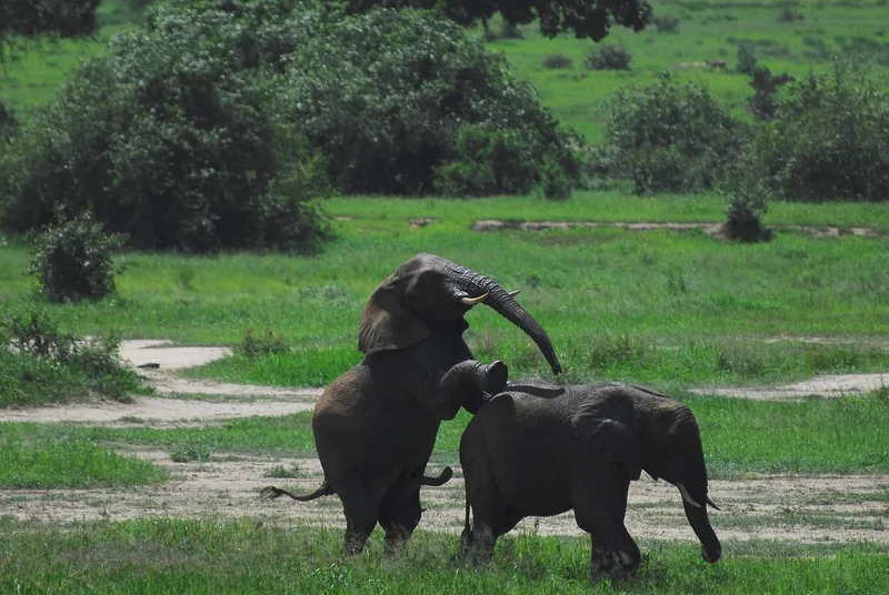 3-Day Victoria Falls and Chobe Get-Away gallery image