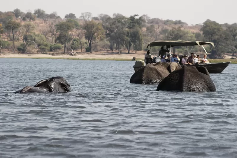 5-Day Victoria Falls & Chobe Palm River Luxury Tour gallery image