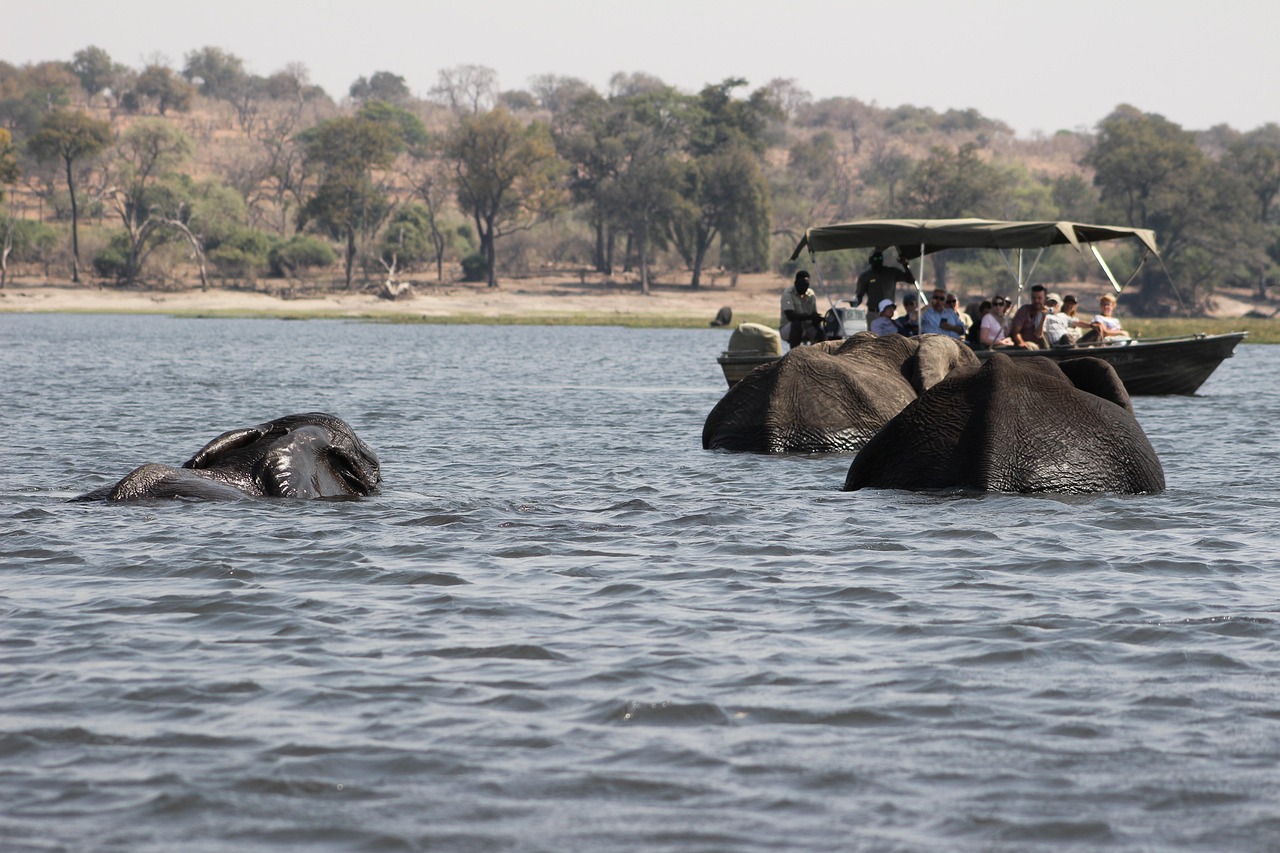 3-Day Chobe and Victoria Falls Zimbabwe Package gallery image