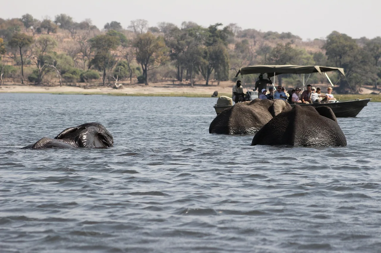 5-Day Victoria Falls & Chobe Ilala Lodge Luxury Tour gallery image