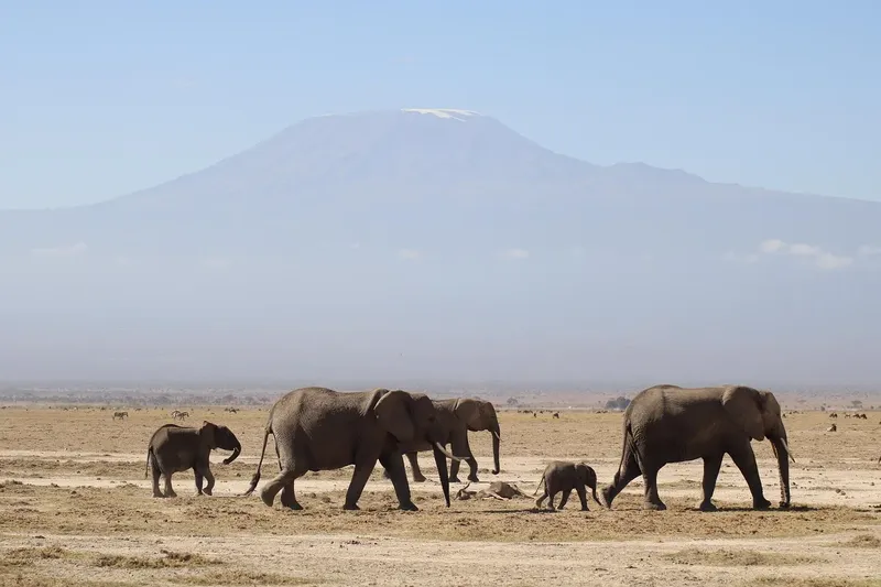 7-Day Migration Gnu Safari - Kenya & Tanzania Tour