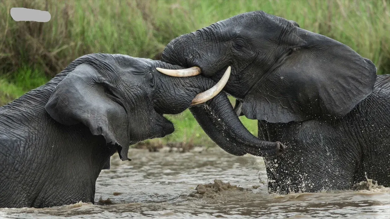 4-Day 25 Percent off Last Minute Luxury in South Luangwa hero photo